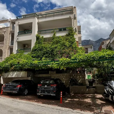 Harmony Of Five Makarska